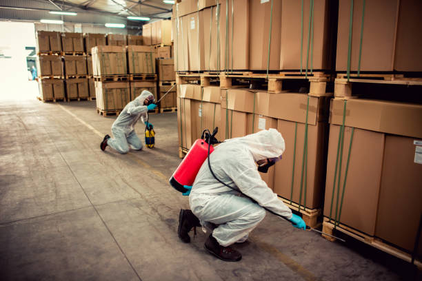 Best Affordable Pest Control Services  in Plattsmouth, NE