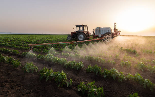 Best Best Pest Control Companies  in Plattsmouth, NE