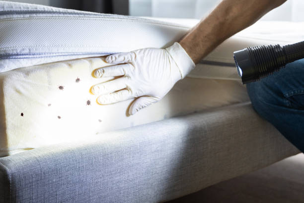 Best Exterminator Services  in Plattsmouth, NE